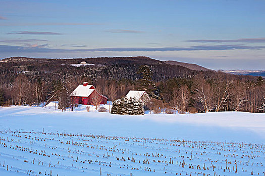 小屋,土地,积雪,北方,魁北克,加拿大