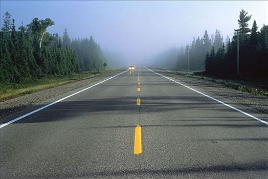 汽车,途中,薄雾,公路,安大略省,加拿大
