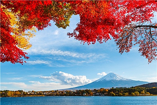 山,富士山,秋天