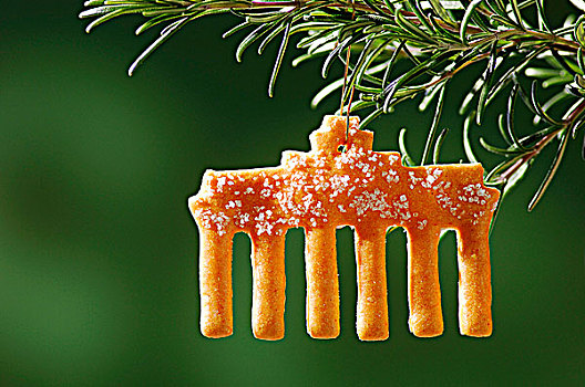 圣诞饼干,松树,枝条