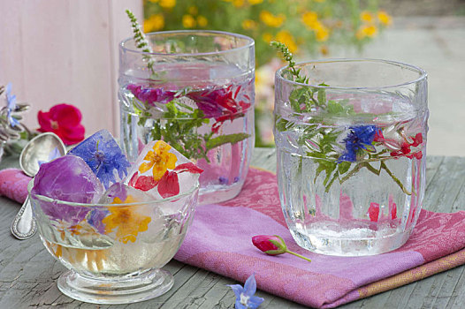 冰块,冰冻,食用花卉,玻璃杯