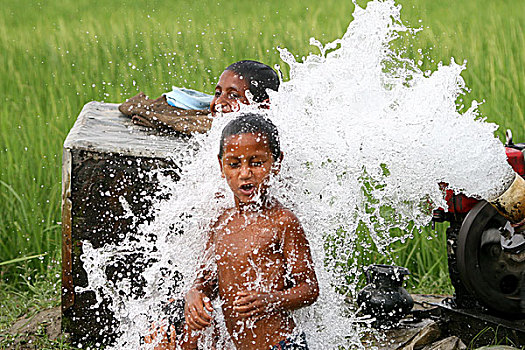 孩子,玩,水,浅,泵,边缘,稻田,孟加拉,四月,2008年