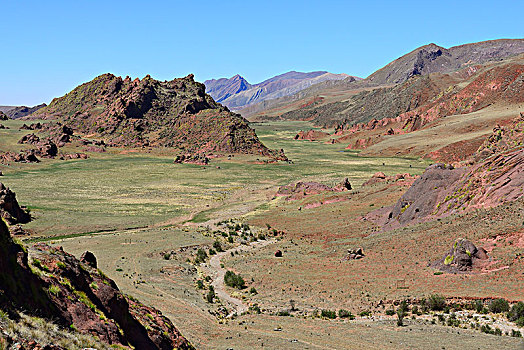 放牧,马,山谷,国家公园,萨尔塔省,阿根廷,南美
