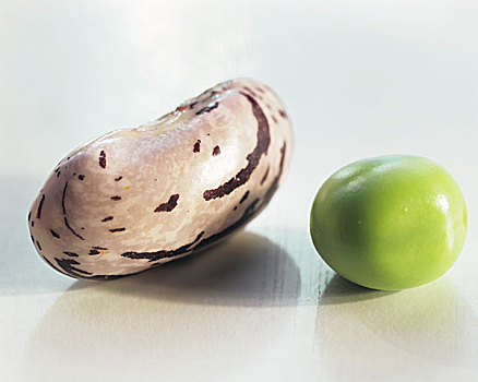 波罗蒂豆,青豌豆