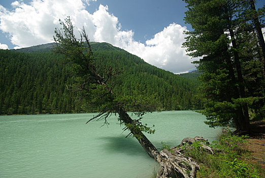 漂亮,山景,靠近,湖,高山湖,山地,水,山谷