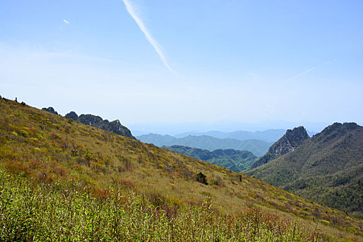 秦岭高山草甸