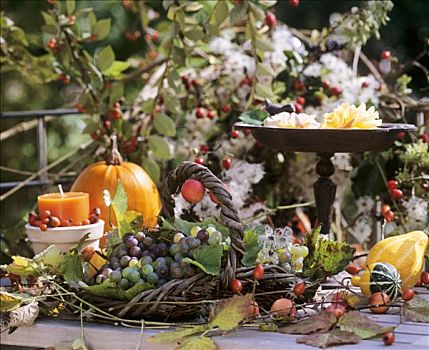 秋天,桌饰,南瓜,葡萄,野玫瑰果