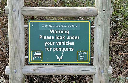 标识,警告,企鹅,交通工具,停车场,漂石,海滩,西海角,省,南非