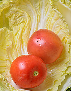 番茄与白菜