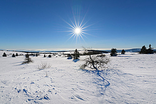 风景,冬天,太阳,山,巴伐利亚,德国