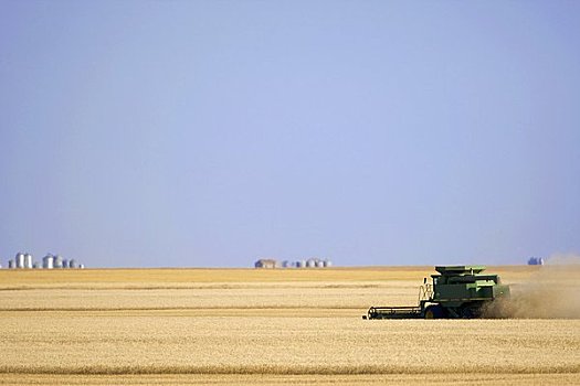 萨斯喀彻温,加拿大,联合收割机,收获,小麦,草原