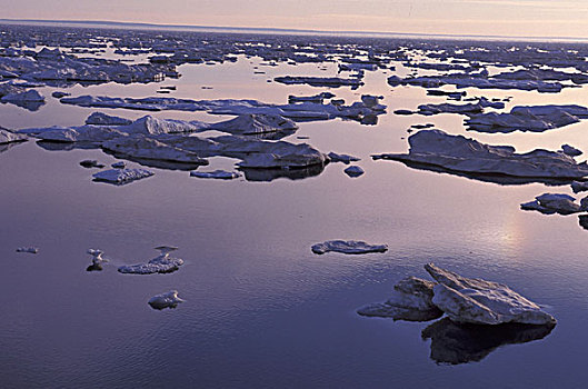 加拿大,巴芬岛,冰,融化,全球变暖