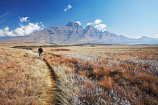 男人,远足,自然保护区,香槟,城堡,背景,公园,南非