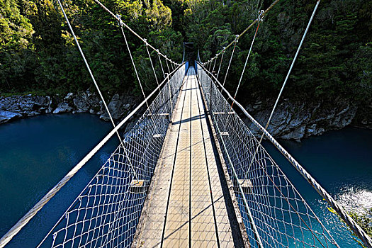 吊桥,峡谷,西海岸,南岛,新西兰
