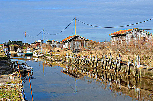 法国,阿基坦,书,牡蛎养殖,乡村