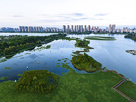 2022年7月31日,江苏省连云港市东海县西双湖湿地公园,郁郁葱葱,天蓝水清,风景优美如画
