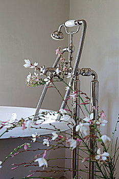 浴缸,握着,淋浴头,装饰,细枝,花