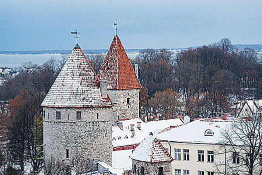 冬天,风景,历史,屋顶,老城,塔林,爱沙尼亚