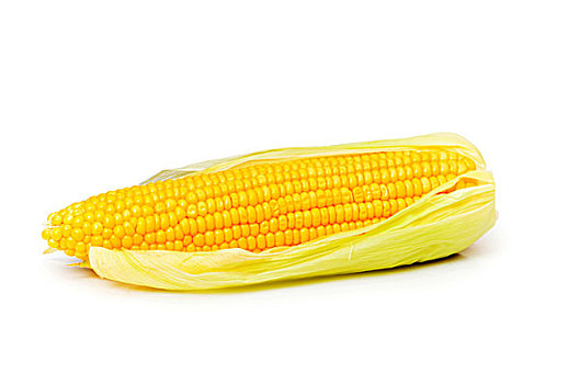 玉米棒,隔绝,白色背景