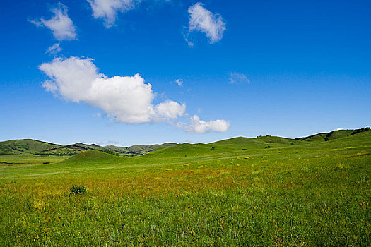 内蒙,坝上,乌兰木统,乌兰木统草原,红山,军马场,草原,草地