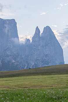 意大利多洛米蒂山脉夏季苏西高原草甸与远处山峰的自然风景