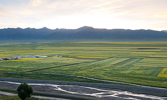 乡村晨景