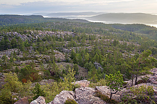瑞典,翁厄曼兰,国家公园,风景