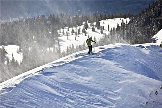 自由式,滑雪者,滑雪道,北方,提洛尔,奥地利,欧洲