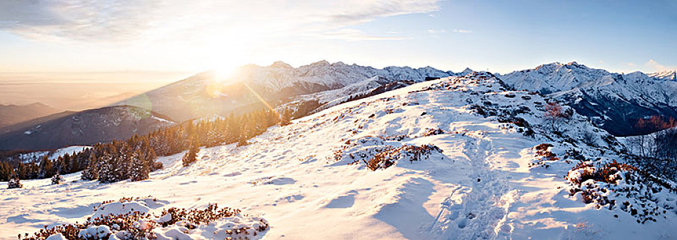 山,雪景,日落,西部,意大利阿尔卑斯山