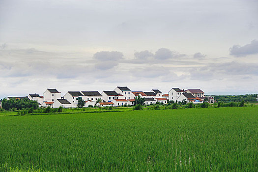 田园风光,乡村人家