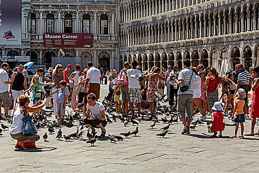 人,鸽子,圣马科,广场,威尼斯,意大利