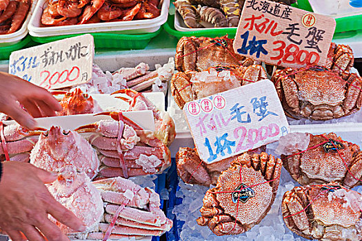 日本,本州,东京,上野,市场,蟹肉,展示