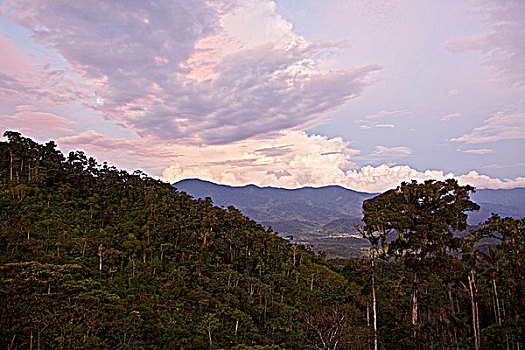 雨林,国家公园,东南部,厄瓜多尔