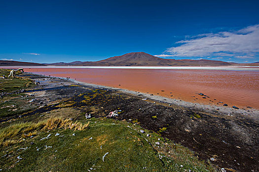 玻利维亚乌尤尼山区红湖