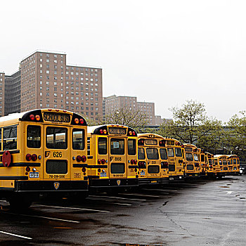 学校,巴士,纽约