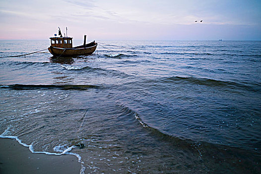 渔船,黄昏,波罗的海,靠近,阿尔贝克海滨,梅克伦堡州