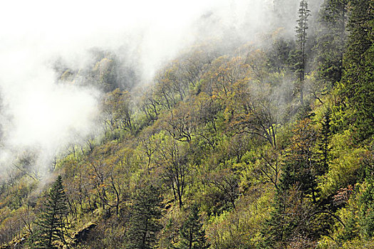 四川川西高原风光