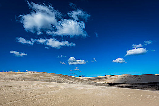 沙丘,西澳大利亚州,澳大利亚