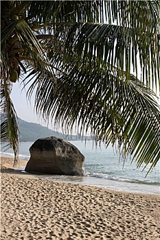 海滩,苏梅岛