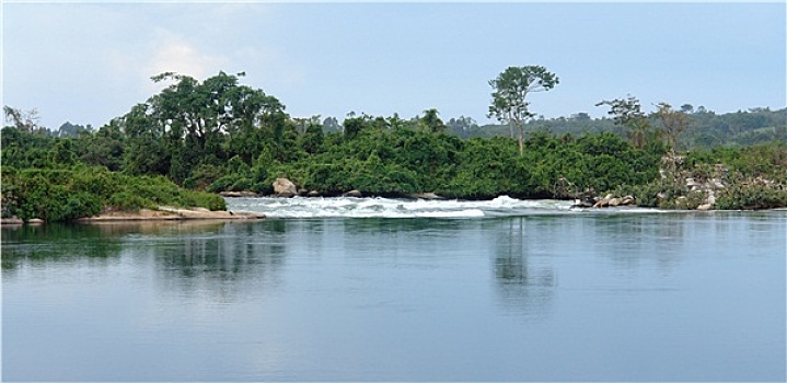 水边,尼罗河,风景,靠近,乌干达
