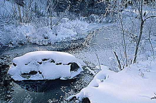 冰冻,溪流,怀特雪尔省立公园,曼尼托巴,加拿大