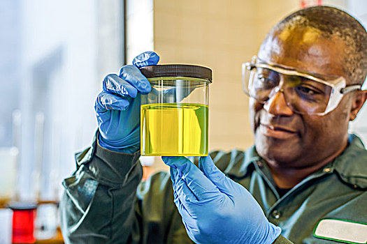 实验室人员,看,烧杯,黄色,生物燃料,植物,实验室