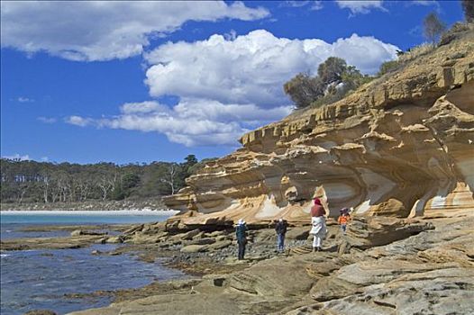 游客,涂绘,悬崖,玛丽亚,岛屿,国家公园,塔斯马尼亚,澳大利亚