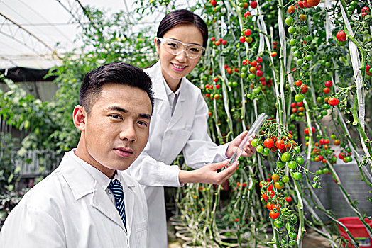 正在大棚里进行科学研究的青年男女