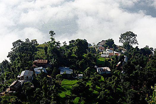 风景,世界,平和,塔,住宅区,靠近,波卡拉,喜马拉雅山,尼泊尔,亚洲