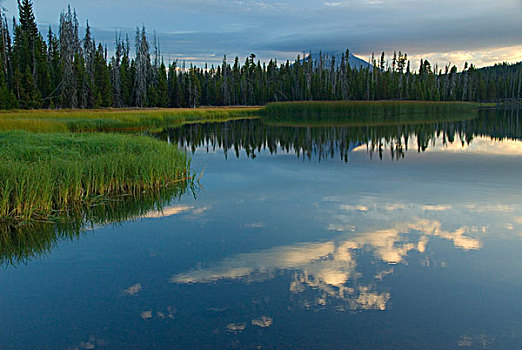 反射,云,水中,小,火山岩,湖,景色,旁路,德斯舒茨国家森林,俄勒冈,美国