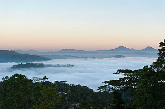 黎明,雾,曙光,风景,俯视,中部高地,康提,中央省,斯里兰卡,亚洲