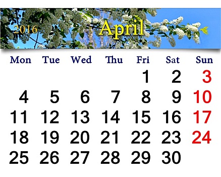 日程,四月,鸟,樱桃树