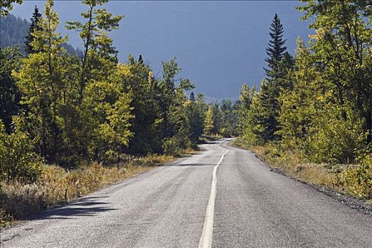 红岩峡谷,道路,瓦特顿湖国家公园,艾伯塔省,加拿大