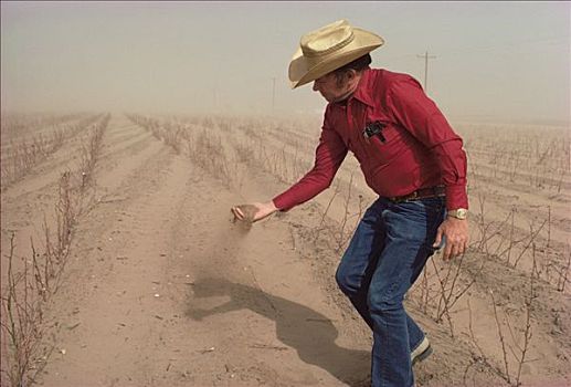农民,一把,灰尘,正面,作物,西部,德克萨斯